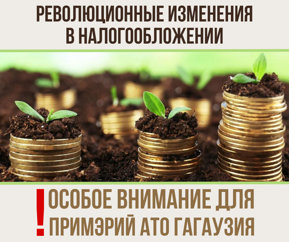 фото статьи
