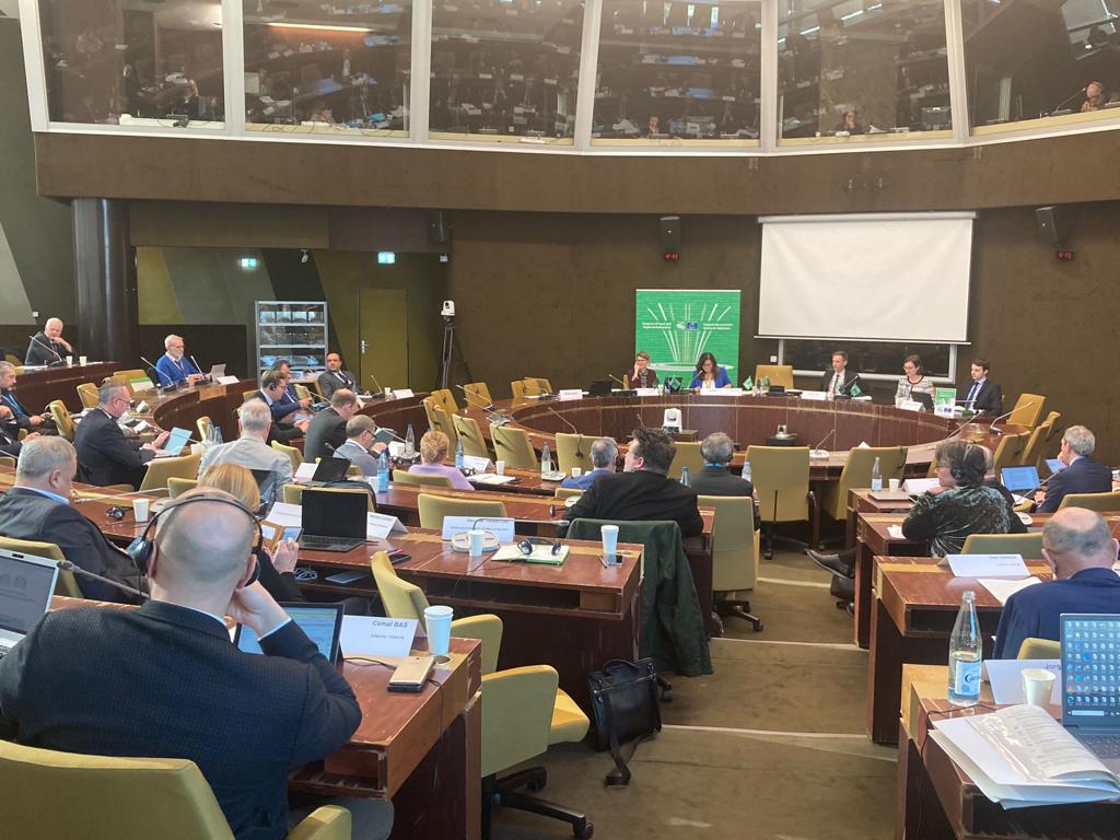 Council of Europe