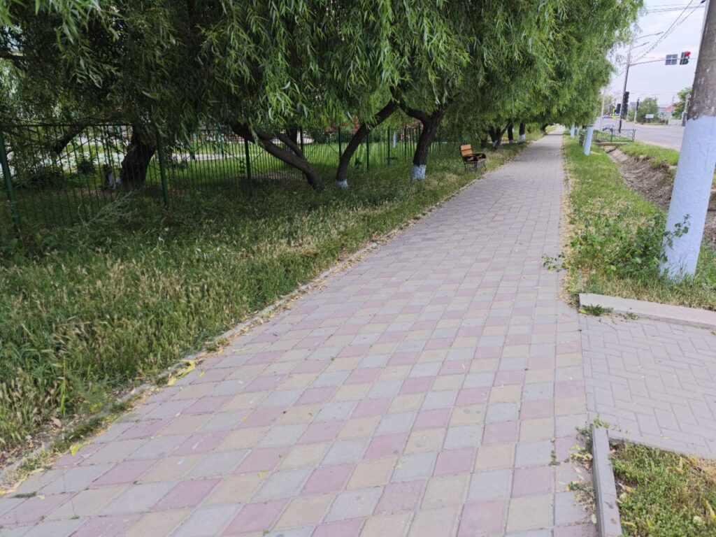 фото статьи