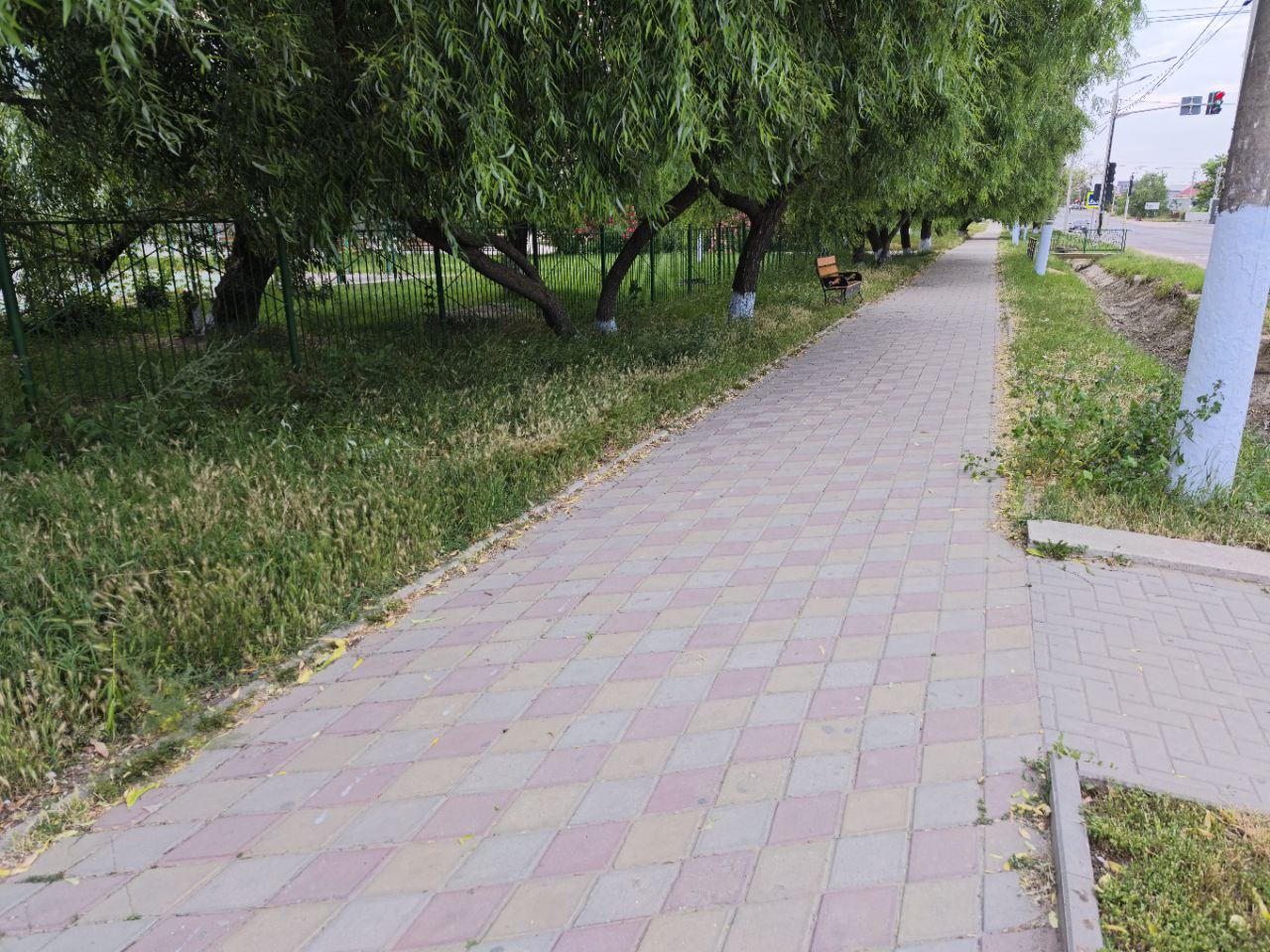 фото статьи